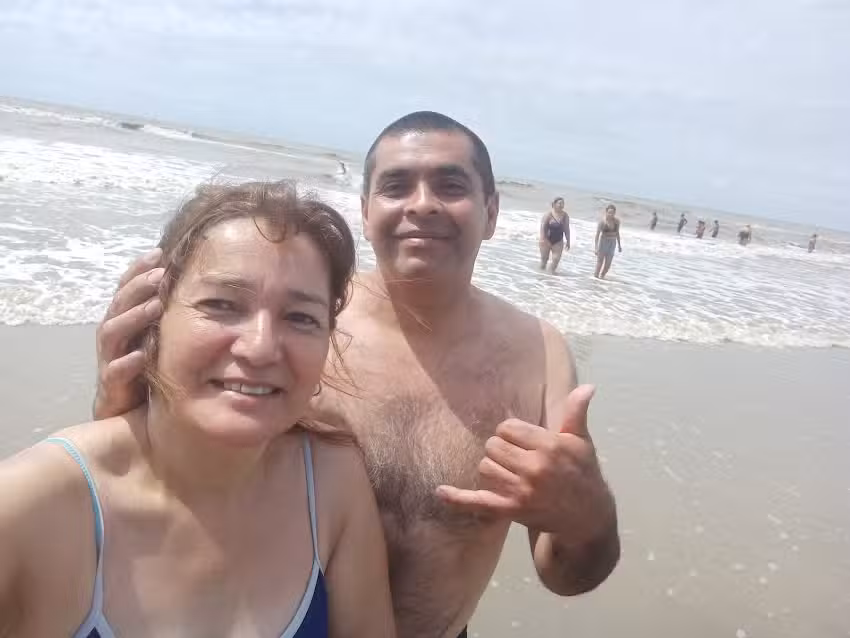 Las cabañas de pino