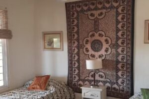 Las casitas del Paraná, San Pedro