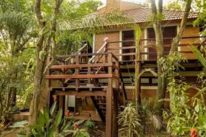 Las Farolas del Bosque