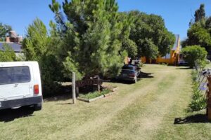 Las Gazanias Marisol