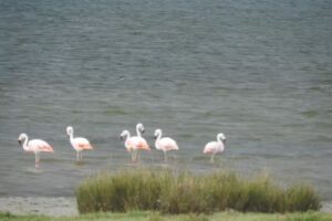 Las Grutas Alquileres Catriel