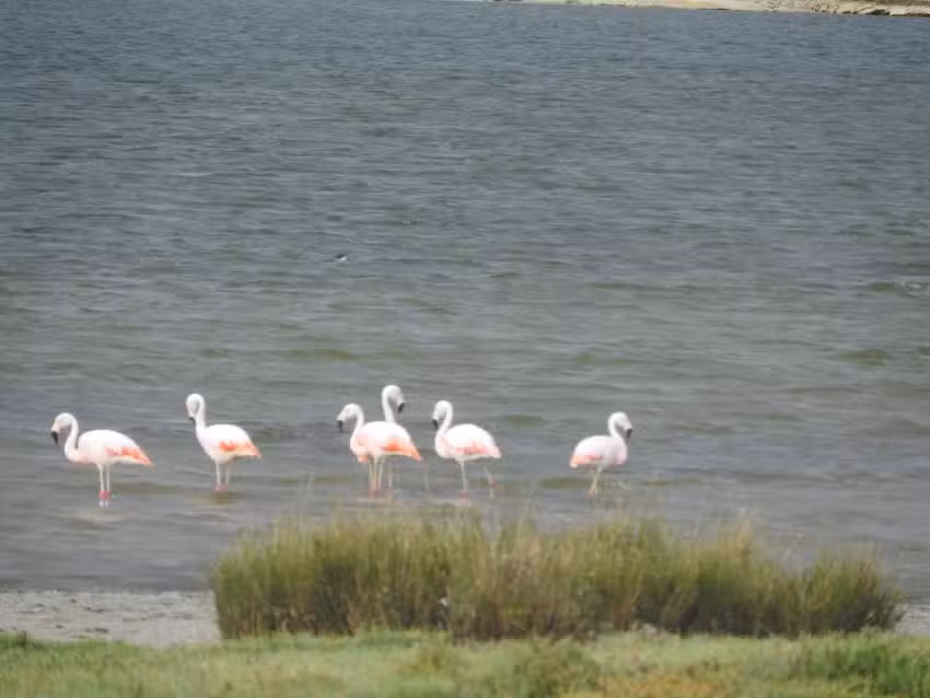 Las Grutas Alquileres Catriel