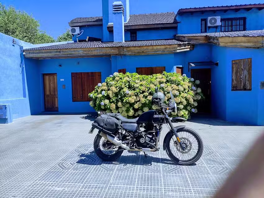 Las Hortensias