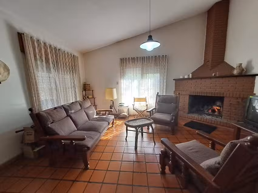 Las lavandas del colibrí