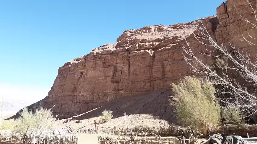 Las quinoas