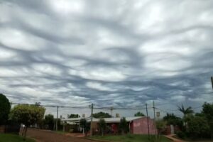 Lo De Olga “Eventos”