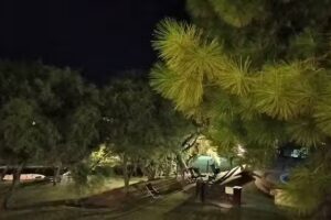 Lofts – Club de campo San Pedro