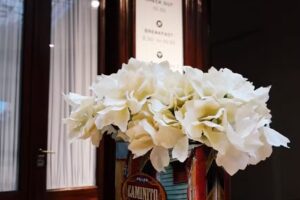 LÓPEZ HOSTEL & SUITES