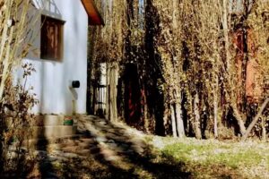 Los Abedules Bungalow