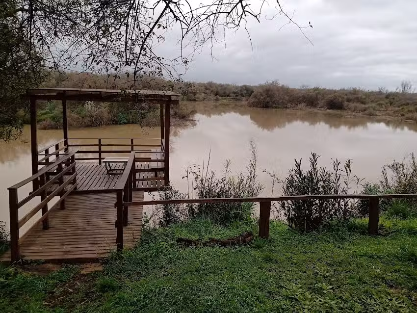 Los Abuelos Casa Alpina