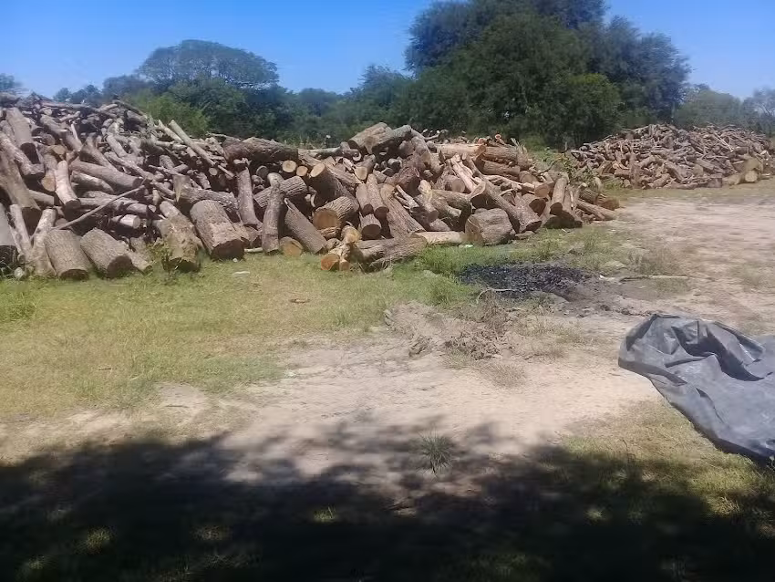 Los Agaves – Casas de Campo