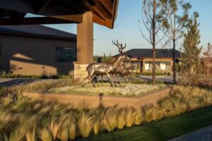 Los Alerces Resort & Spa