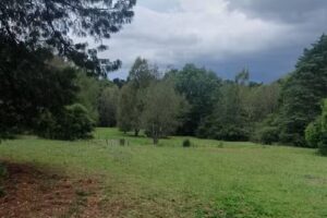 Los Búhos – Casa de Montaña