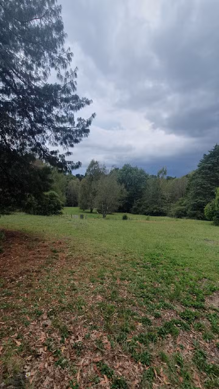 Los Búhos – Casa de Montaña