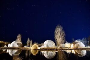 Los Cardos Lodge & Glamp