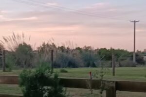 Los Cencerros-Casa de Rio