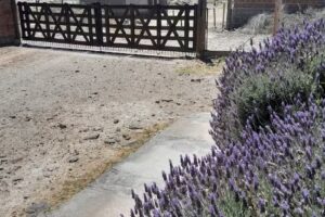 Los Cerezos. Una experiencia Familiar