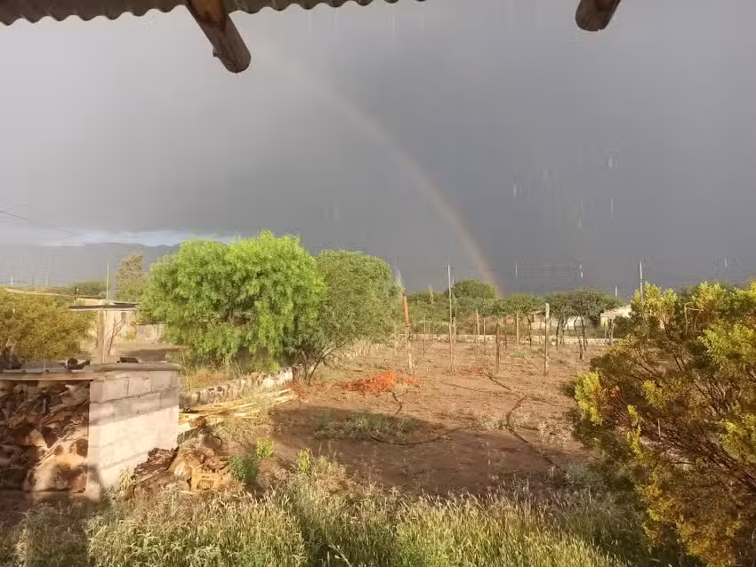 Los Cerezos. Una experiencia Familiar