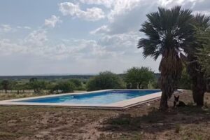 Los Cipreses Cabaña Viso