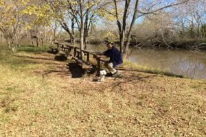 Los cuentos del Bosque