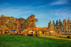 Los Girasoles Estancia