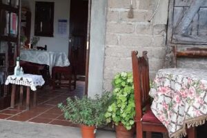 Los Laureles de Santa Elena