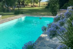 Los Laureles y Margaritas🌿