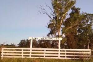LOS MIRASOLES