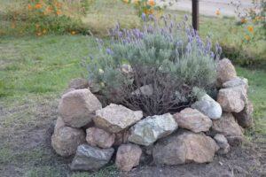 Los Robles De Achiras