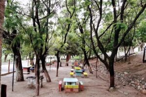 Lugar para Acampar “La Aguada”