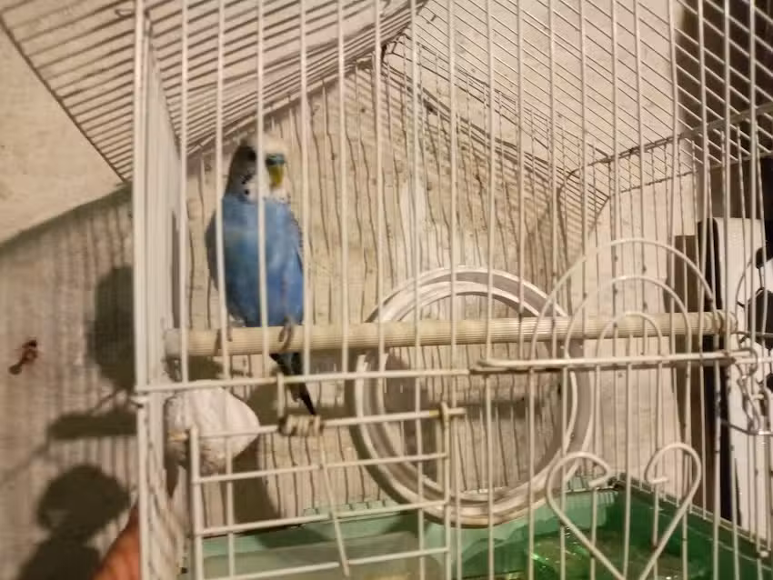 lugar privado