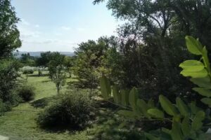 Mahatma Villa Giardino