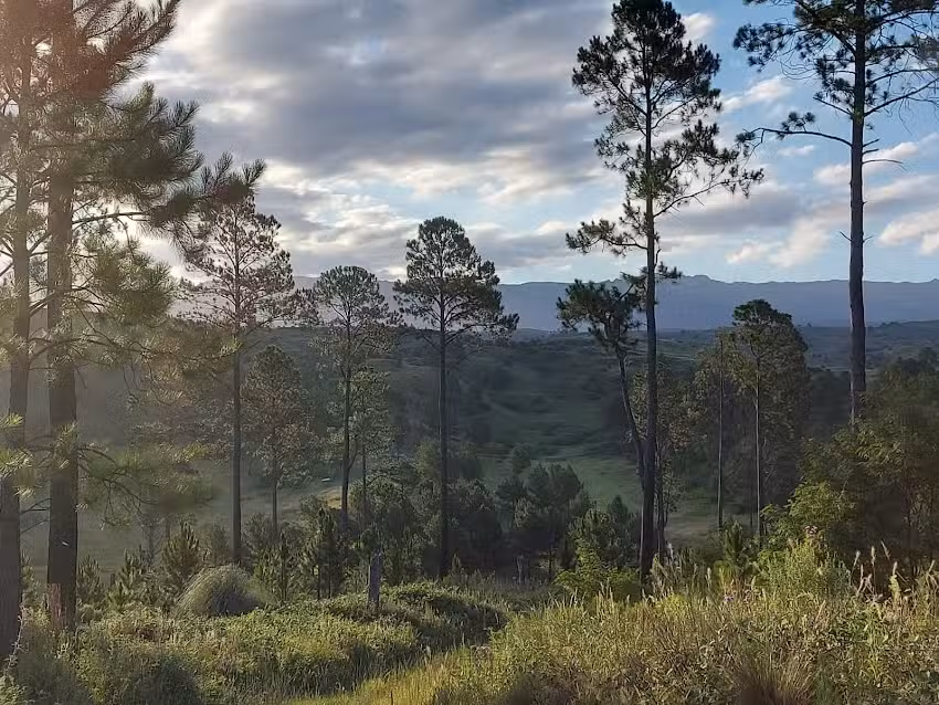 MAKTUB, Cabañas de Montaña