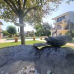 Margaritas y Soles Petit Hotel