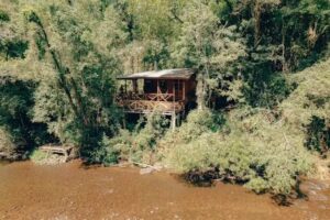 Margay – Reserva Natural & Lodge de Selva