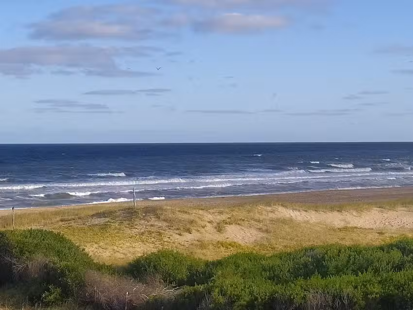 Marina de las Pampas
