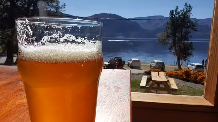 Marinas Puerto Traful