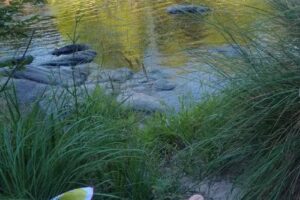 Mate De Luna Santa Monica Cordoba