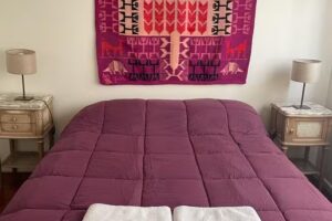 Mendoza Pleno Centro