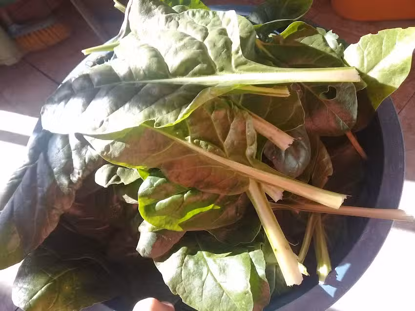 Mi Lugar En El Mundo