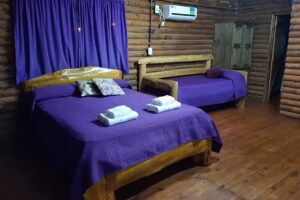 Milagros de San Pedro