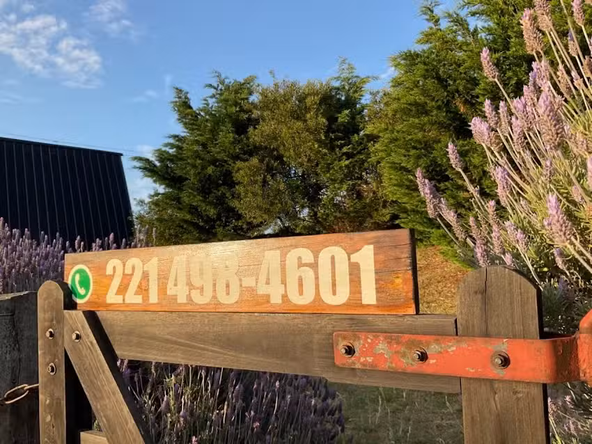 Milo y Galo – Cabañas Aires de Mar