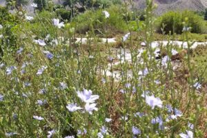 mirapampa Casa de Montaña