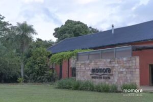 Momora Distrito Selva