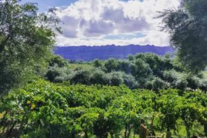 Munay EcoHostal – Restaurante de Campo