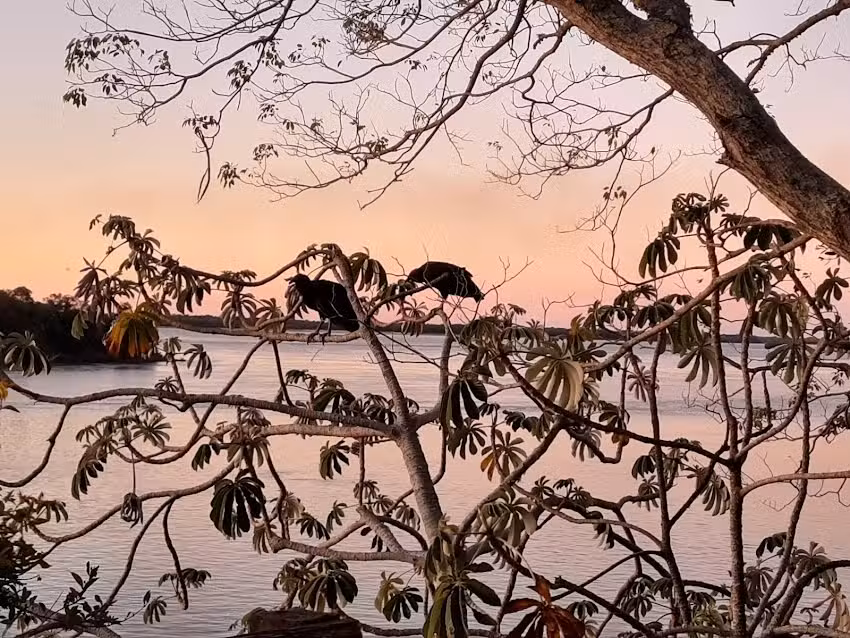 Murmullos del Parana