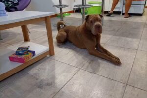 Nicanora Alquiler de Deptos para 2 Personas