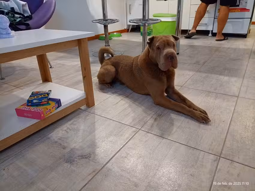 Nicanora Alquiler de Deptos para 2 Personas