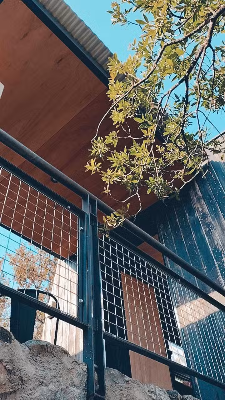 Nido Arriba Cabañas