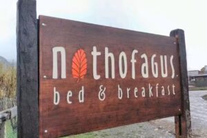 Nothofagus Bed & Breakfast